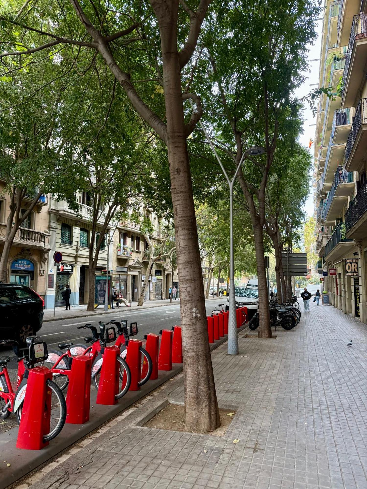 Newly Renovated Stylish Eixample - Great Location Барселона Экстерьер фото